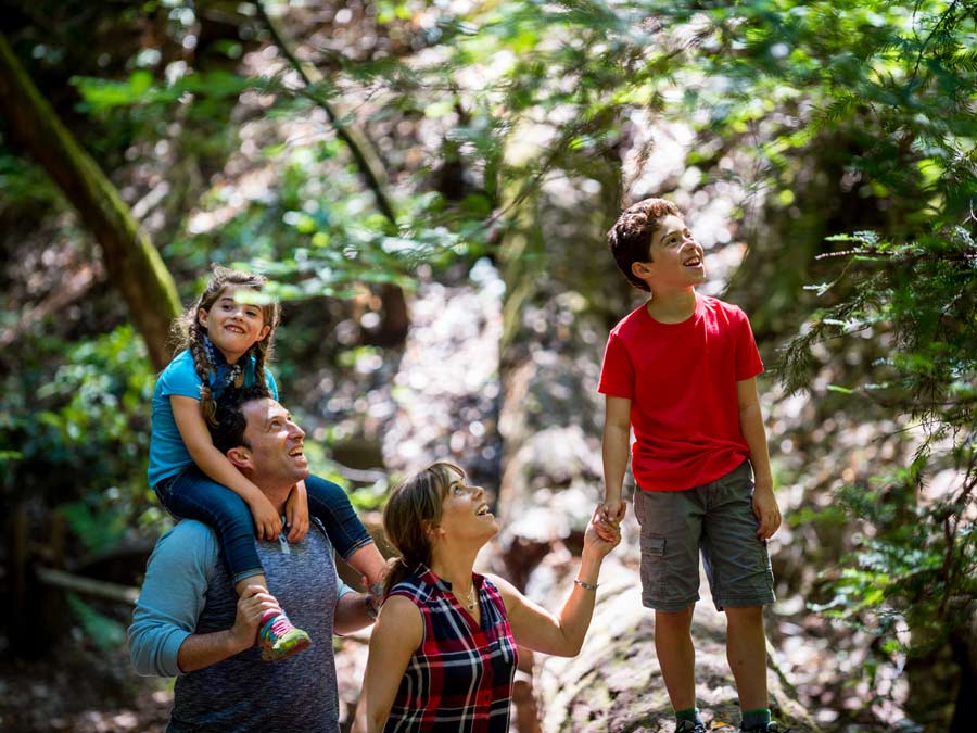 A family looks up in awe at the trees in Armstrong Redwoods State Natural Reserve, Guerneville