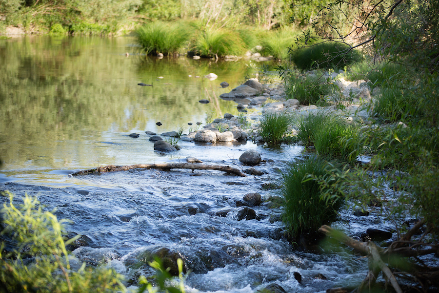 Cloverdale River Park