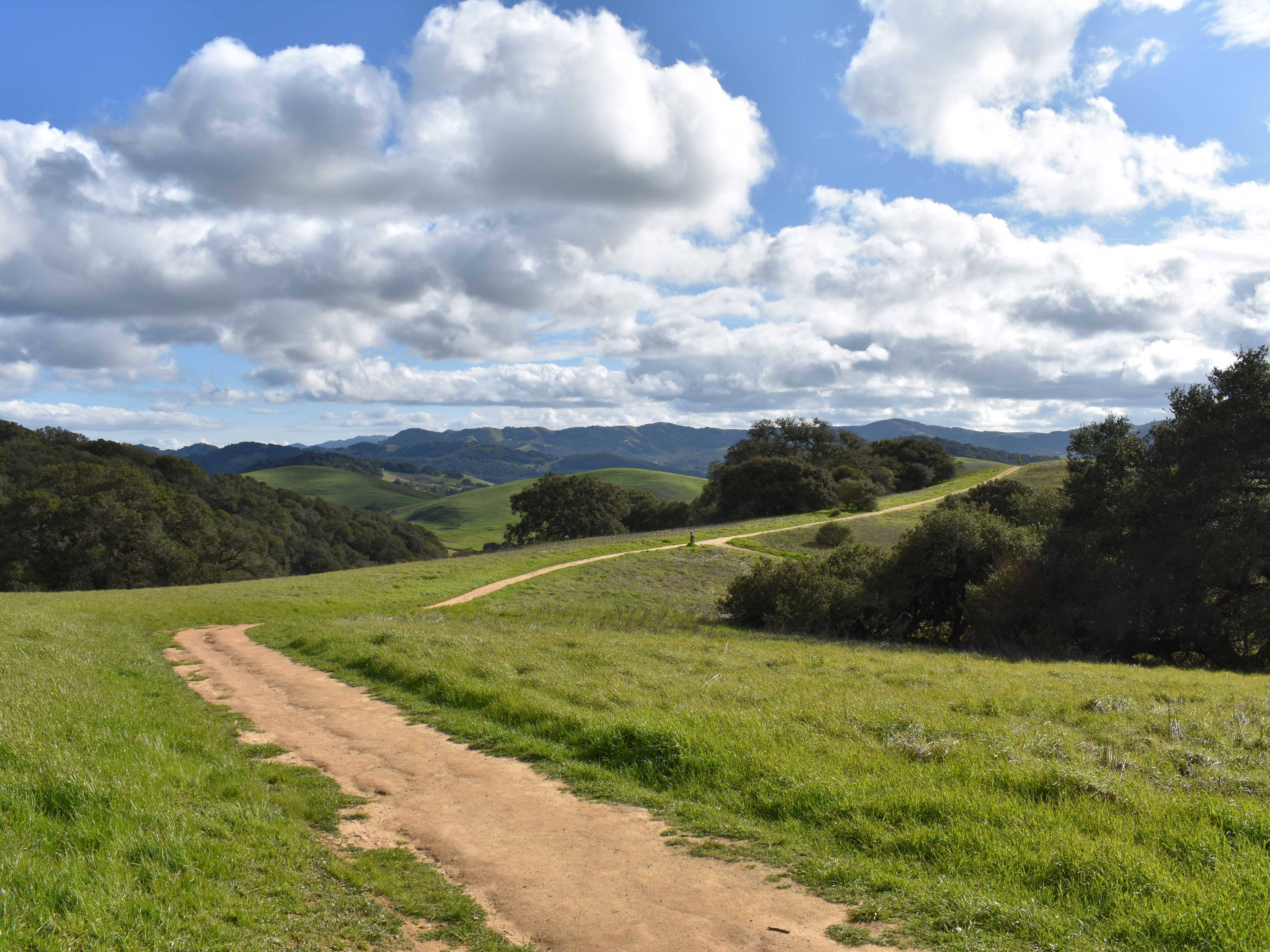 Helen Putnam Regional Park in Petaluma