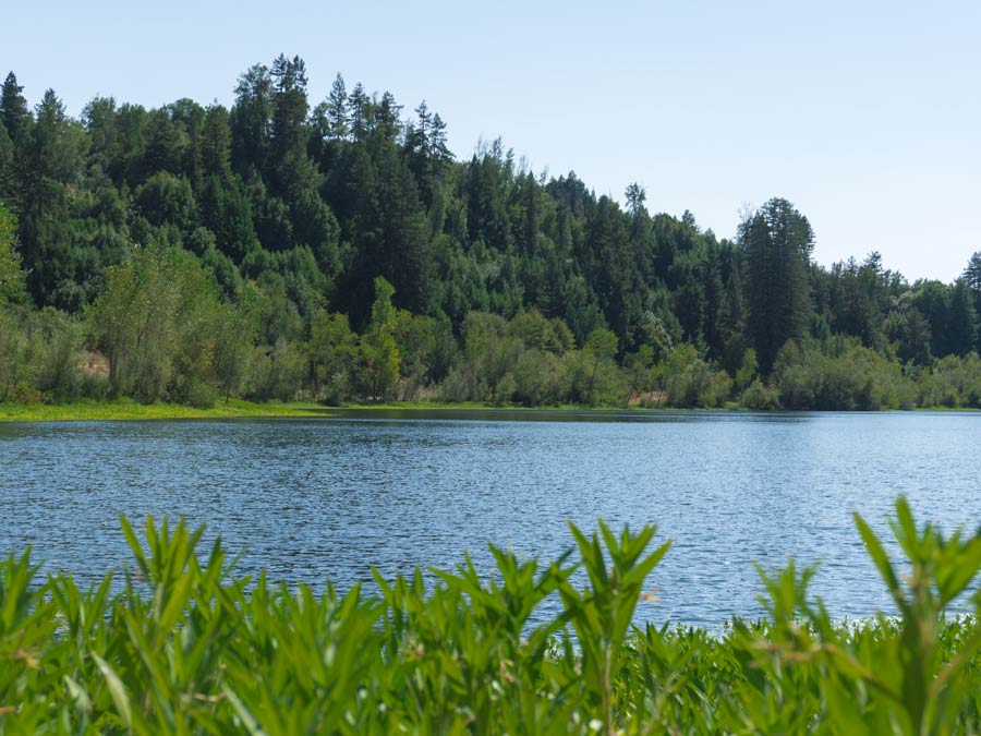 The blue waters of the river sparkle in the sun