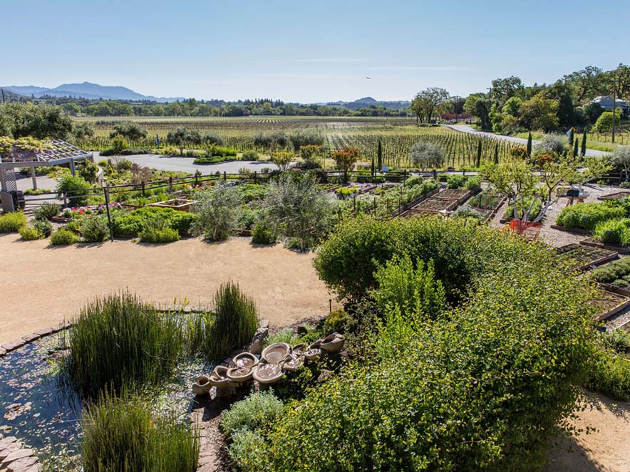 gardens and vineyards with ponds and paths