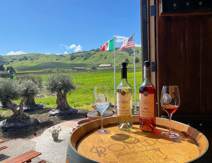 View from the Robledo Family Winery tasting room in Sonoma 