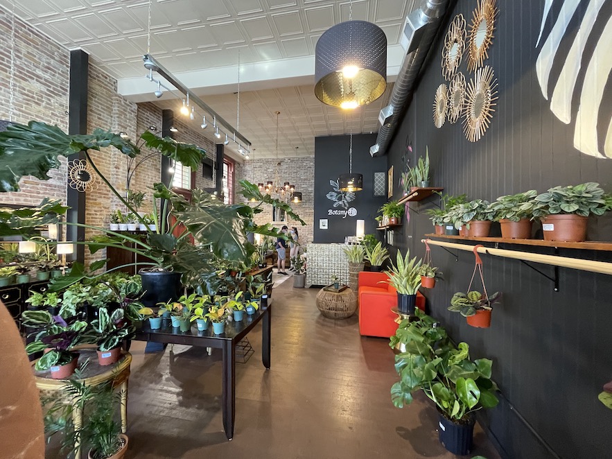 Botany Zhi plant shop in Santa Rosa