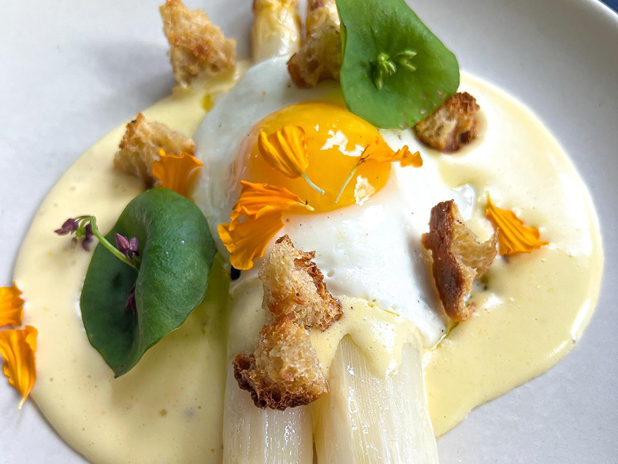 Dutch White Asparagus Glen Ellen Star