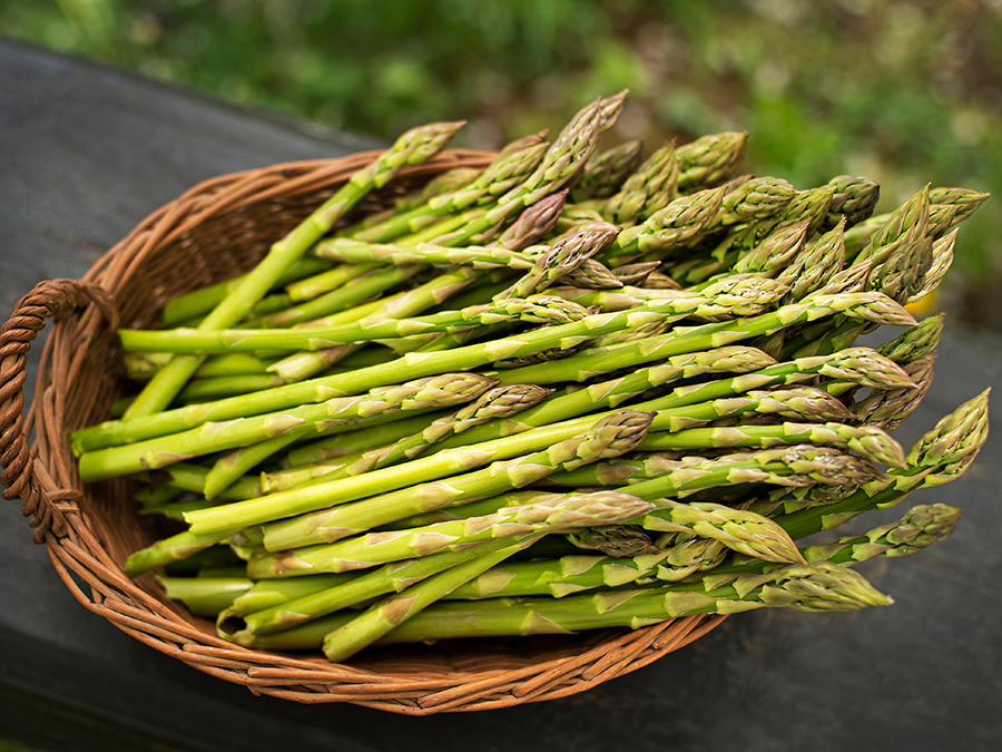 Asparagus