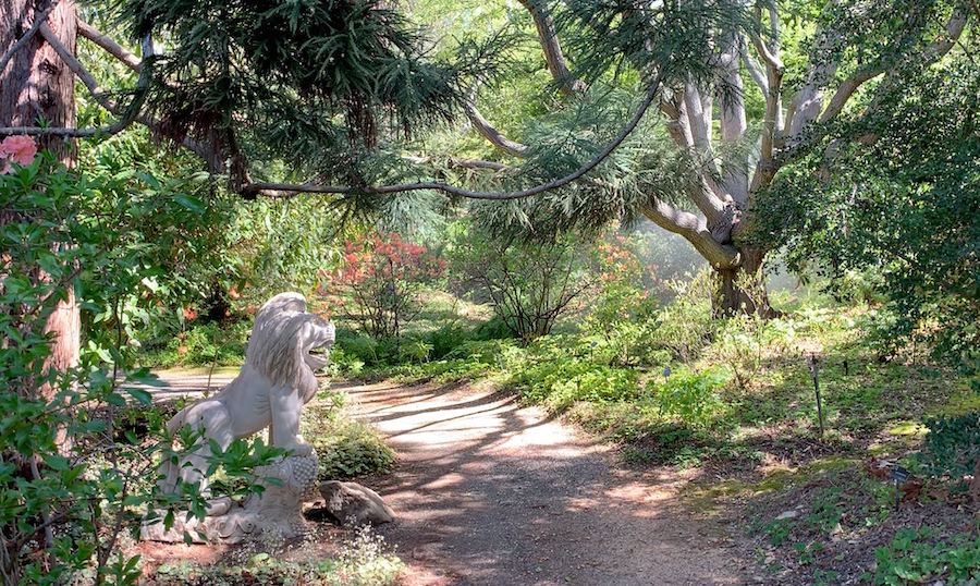 Sonoma Botanical Garden