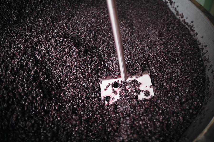 Punch down of the cap on fermenting grape juice 