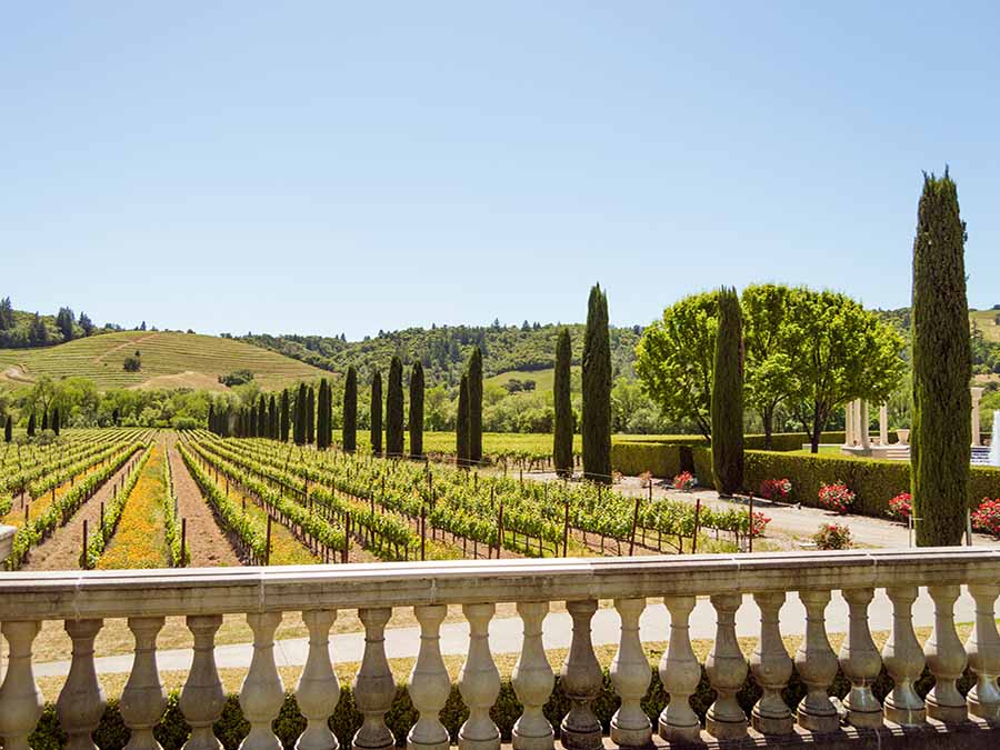 Formal sculpted gardens as seen from a patio