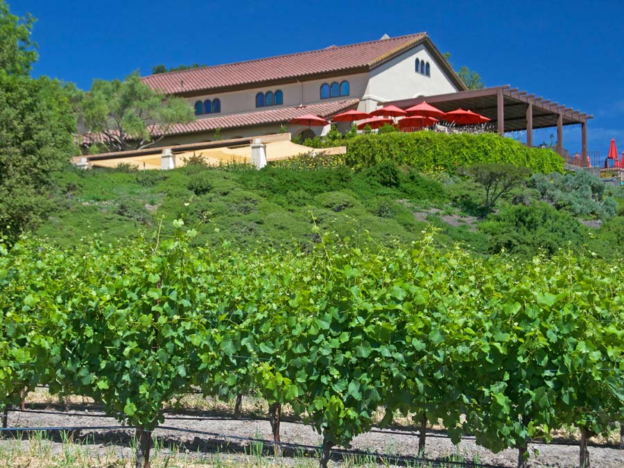 Gloria Ferrer Winery