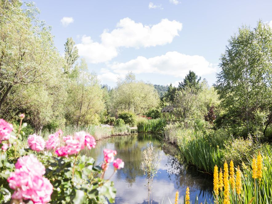 Flowers surrounded a reflection pool