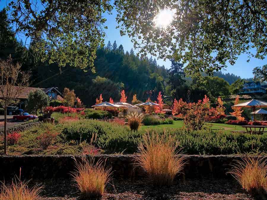 The gardens in the fall in front of the winery have many places to sit