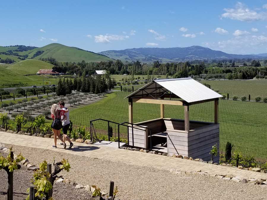 Two people walk on a path next to a lookout area above the vineyards