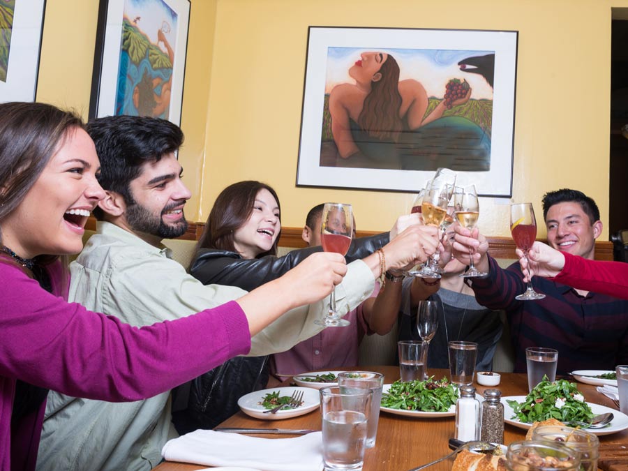 A group toasts to good food and wine along a tour with Gourmet Food and Wine Tours - Sonoma