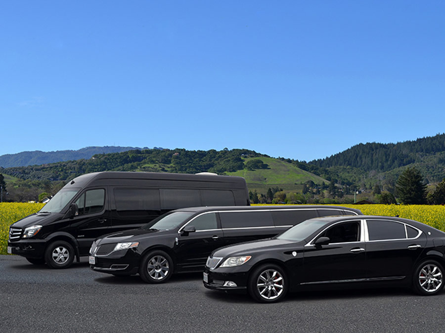 A flett of vehicles is parkd in front of vineyards in Sonoma County