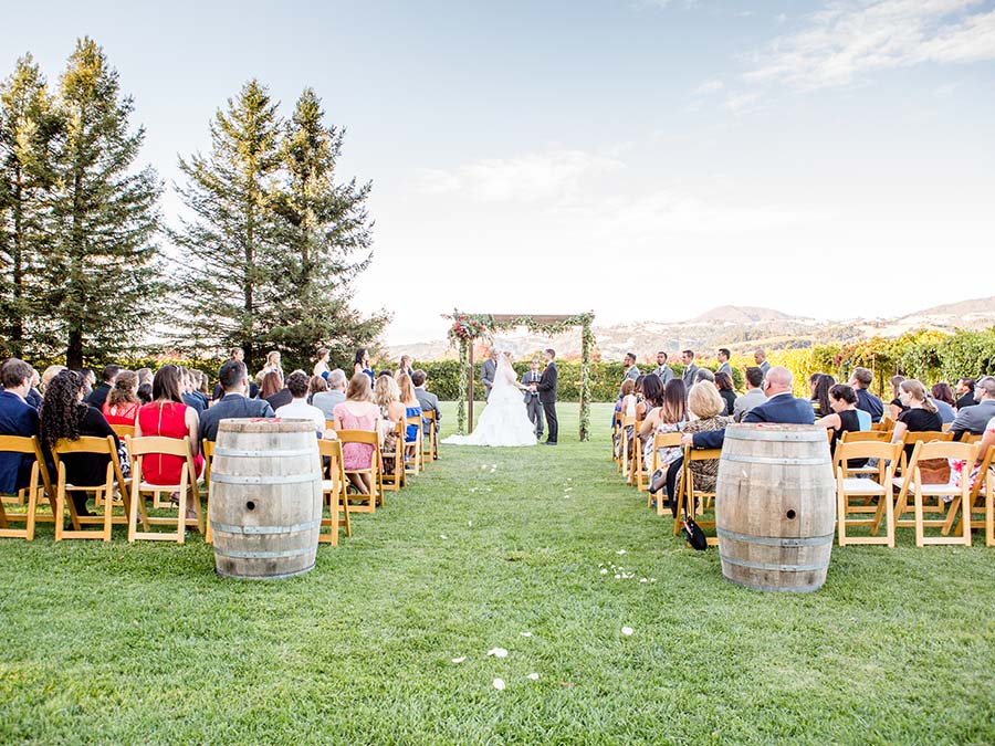 view of guests from behind looking at bride and groom on lawn getting married