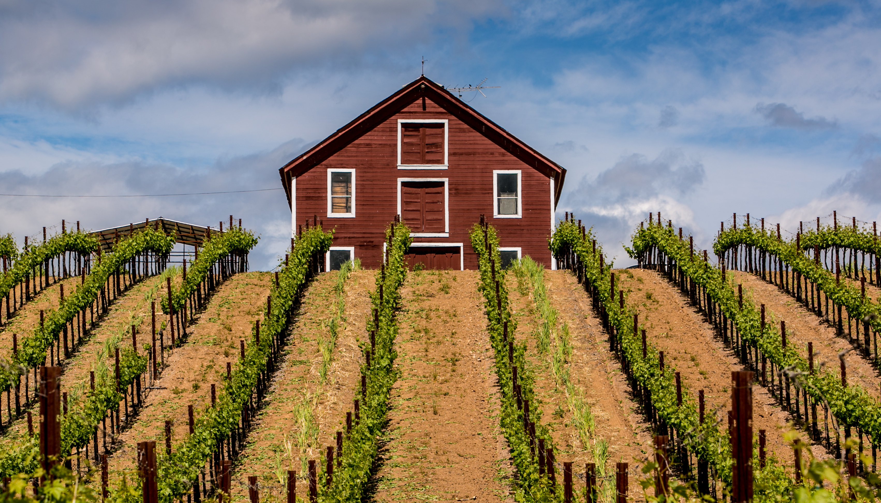 Rediscover timeless scenery along winery routes like Dry Creek Valley Road 