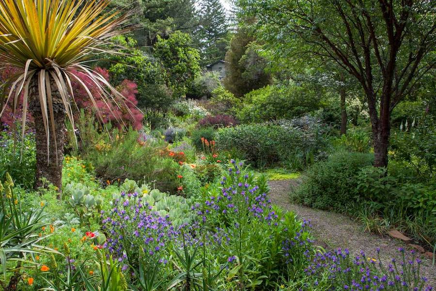 Renovated by new owners, Western Hills Garden in Occidental reopened in Spring 2022