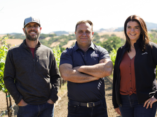 Jordan Vineyard & Winery purchases a new Cabernet Sauvignon vineyard