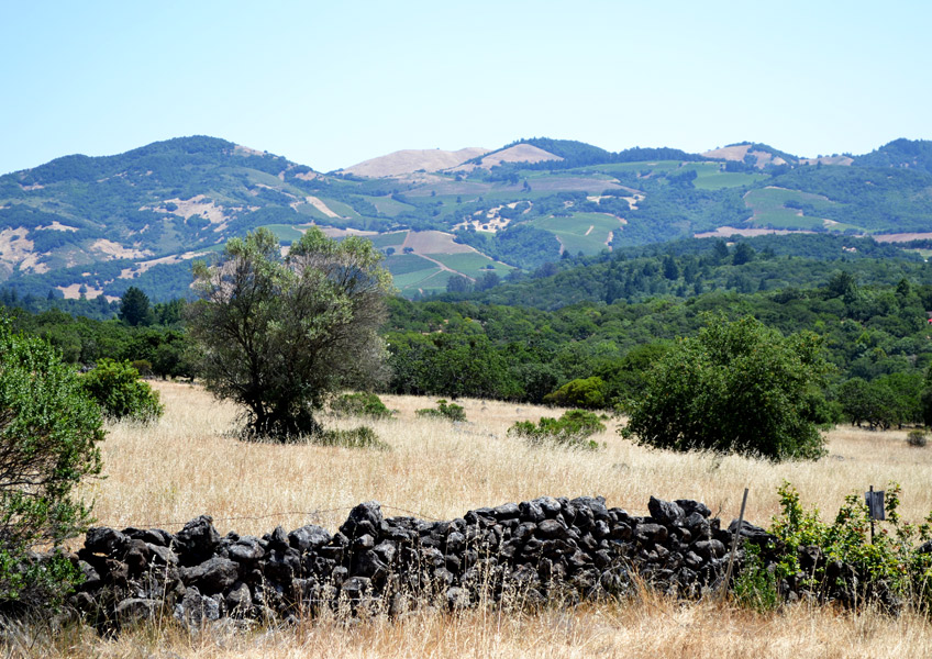 Moon Mountain, Sonoma County, California