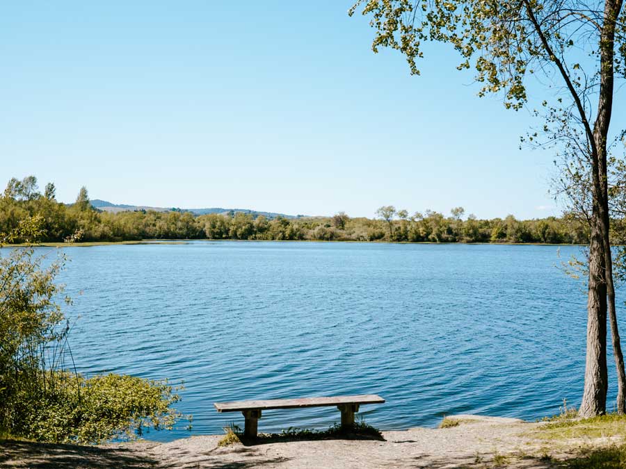 The Russian River at Riverfront Regional Park