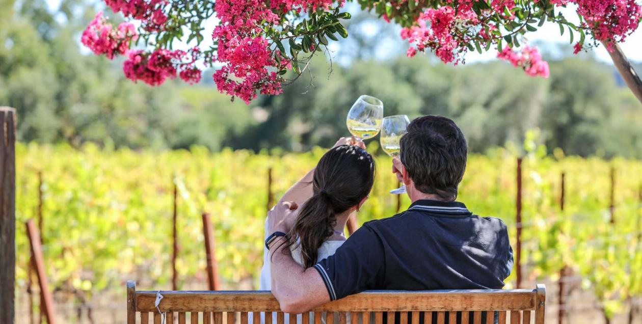 couple on a bench in Sonoma County