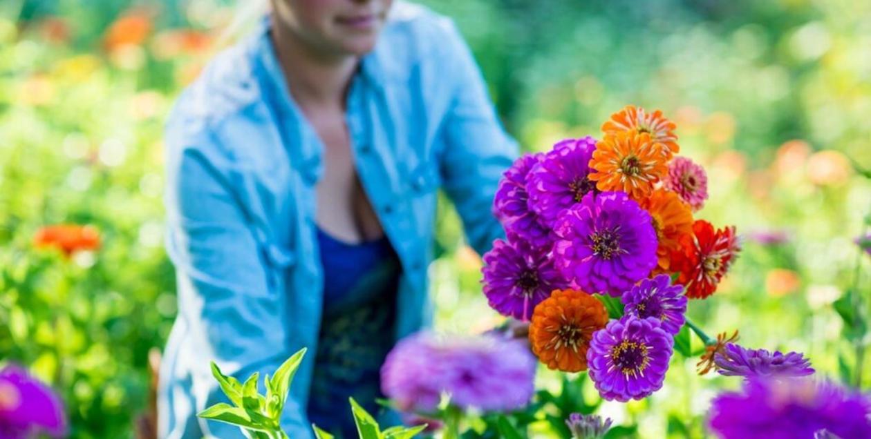 Hedda Brorstrom's Full Bloom Flower Farm has bouquets to go, plus arrangements for events and a flower CSA—Photo by Dawn Heumann