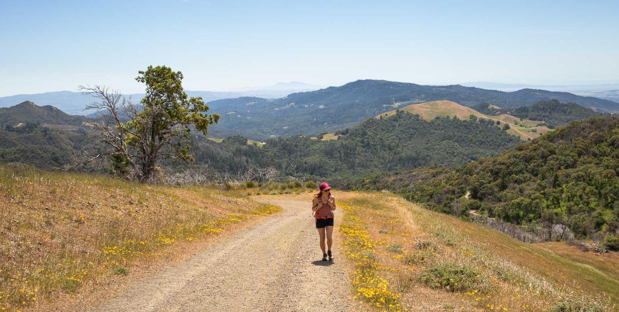 Details on the most difficult Sonoma County hiking trails, including distance, gain, conditions and terrain, plus information about parking, day use fees and the closest stops for food and gas.