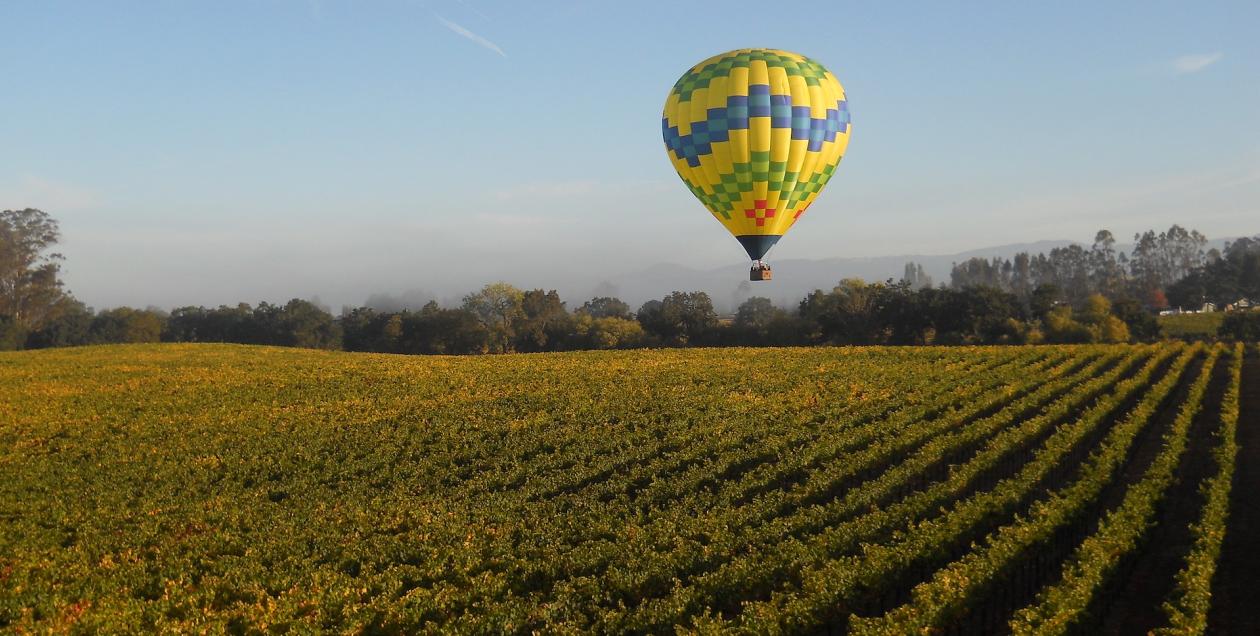 Just another Wednesday, high above the vineyards of Sonoma County