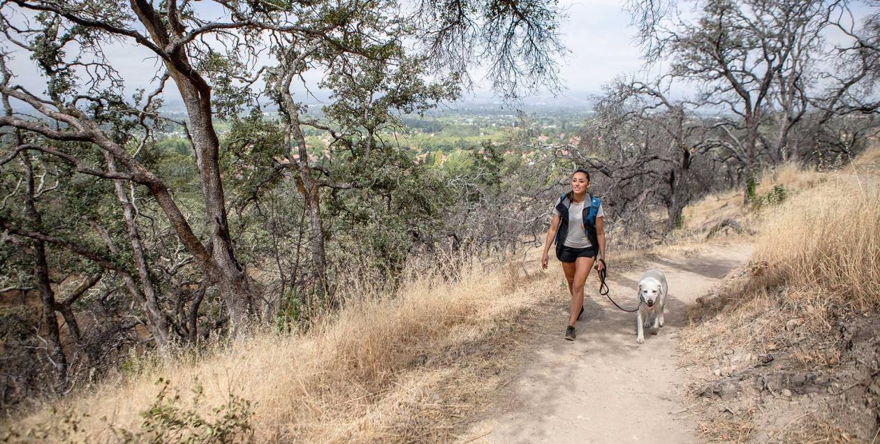 Foothill Regional Park