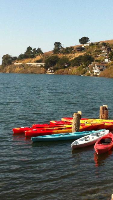 Kayaks in the coastal town Jenner