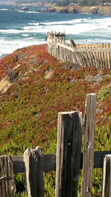 Coast at The Sea Ranch