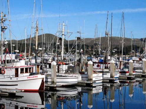 Bodega Bay Marina with boats