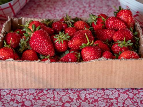 Local Sonoma County Strawberries