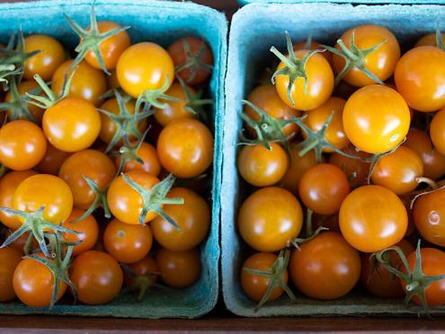 First of the season tomatoes at SingleThread Farm - Photo by Heather Irwin