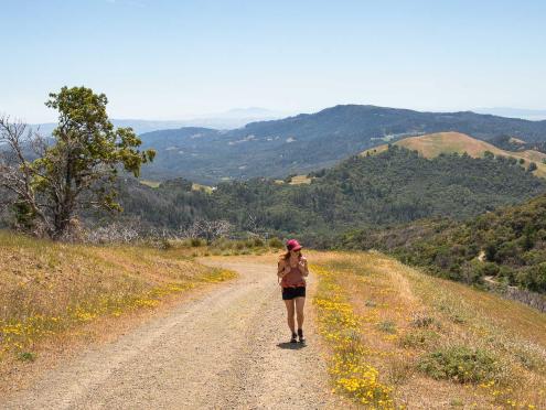 Details on the most difficult Sonoma County hiking trails, including distance, gain, conditions and terrain, plus information about parking, day use fees and the closest stops for food and gas.