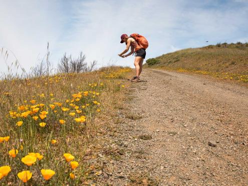 Tips for Hiking Responsibly in Sonoma County