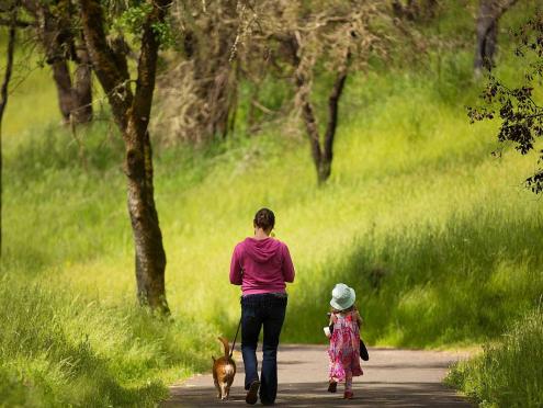 Sonoma Valley Regional Park