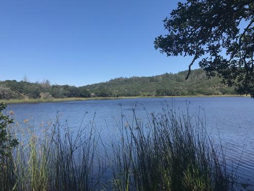 Trione-Annadel State Park