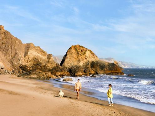 Couple at beach with dog