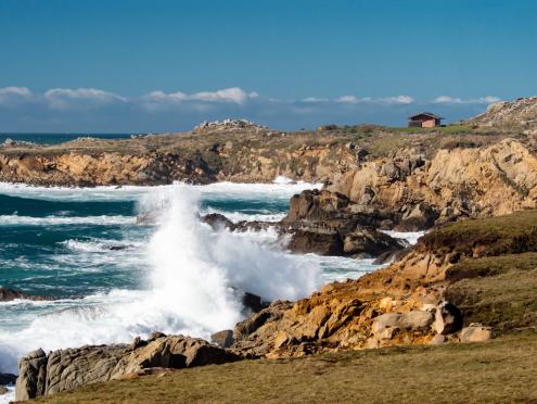 Salt Point State Park in Jenner