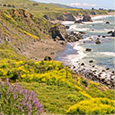 Coast and Sea Villages